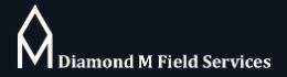 Diamond M Field Services LLC Logo