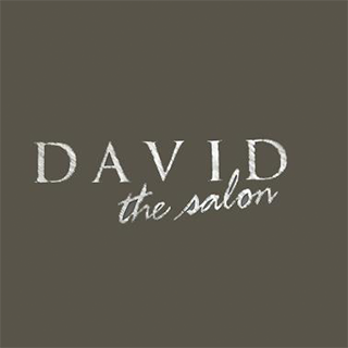 David the Salon Logo