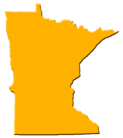 Minnesota Insurance Services of St. Paul Inc Logo