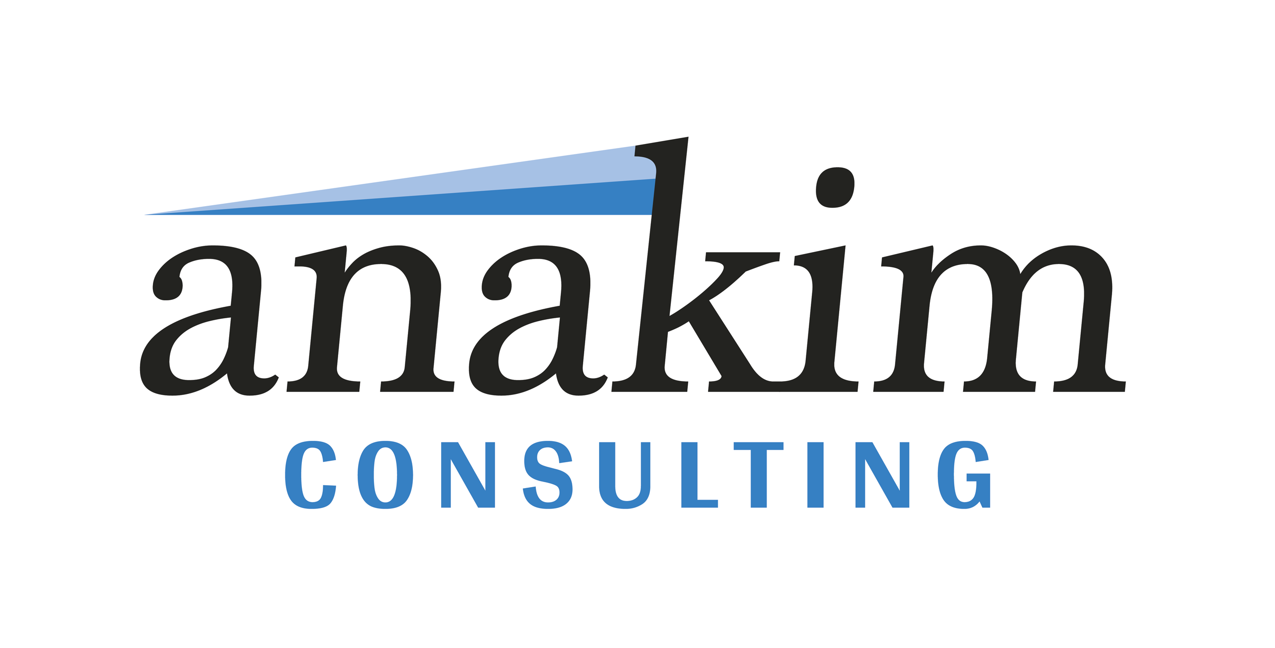 Anakim Consulting Incorporated Logo