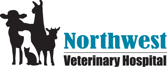 Northwest Veterinary Hospital, Inc. Logo