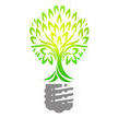 The Electric and Solar Specialist Logo