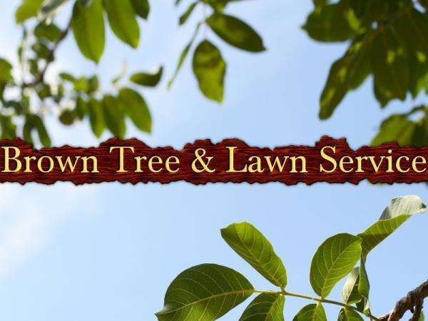 Brown Tree & Lawn Service Logo