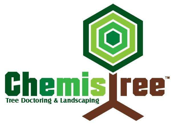 Chemistree Tree, Lawn & Landscape Logo