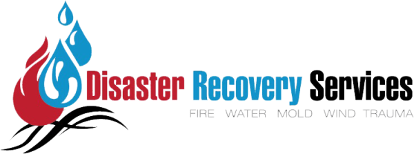 Disaster Recovery Services, LLC Logo