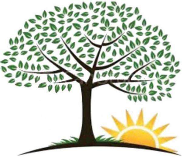 Sunrise Tree Care, LLC Logo