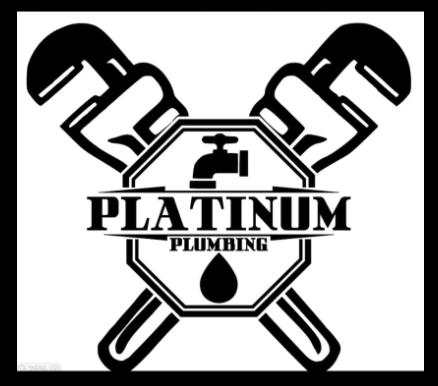 Platinum Plumbing & Pumps, LLC Logo