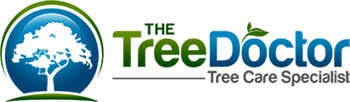 The Tree Doctor Logo