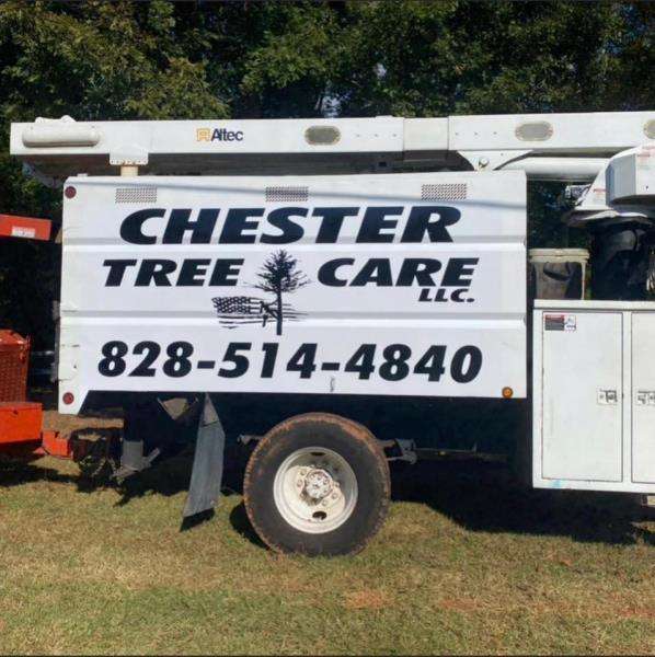 Chester Tree Care Logo