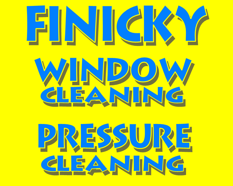 Finicky Window Cleaning Inc. Logo