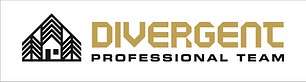 Divergent Professional Team LLC Logo
