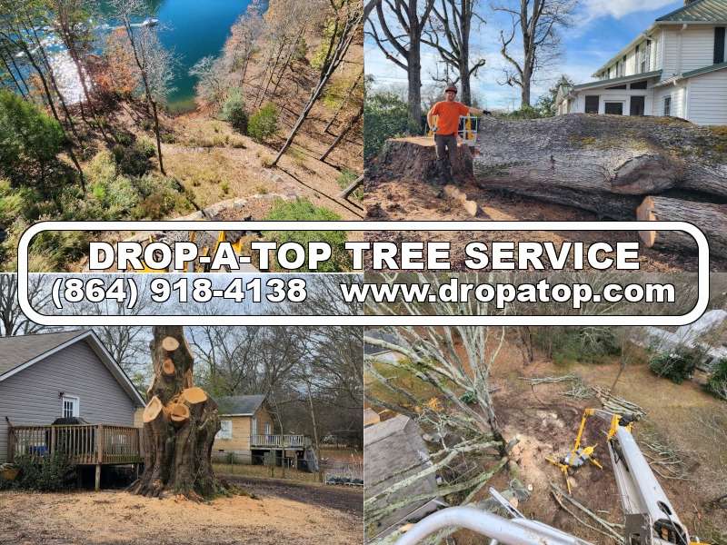 Drop-A-Top Tree Service Logo