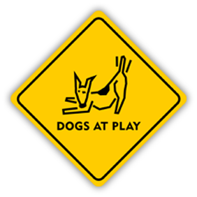 Dogs At Play, LLC Logo