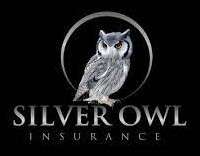 Silver Owl Insurance LLC Logo