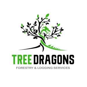 Tree Dragons Inc. Logo