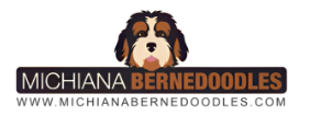 Michiana Bernedoodles Logo