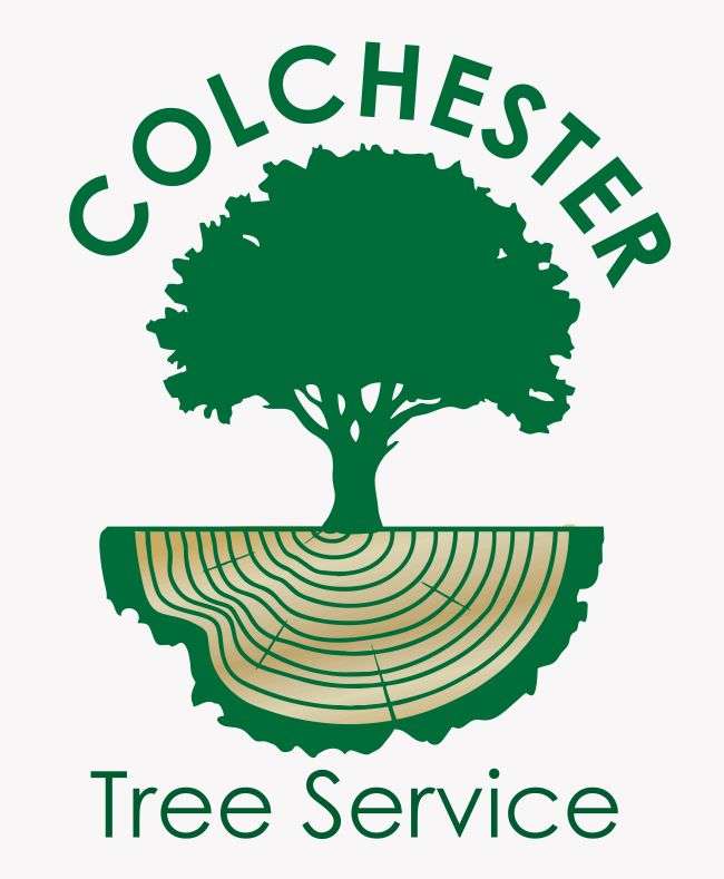 Colchester Tree Service Logo