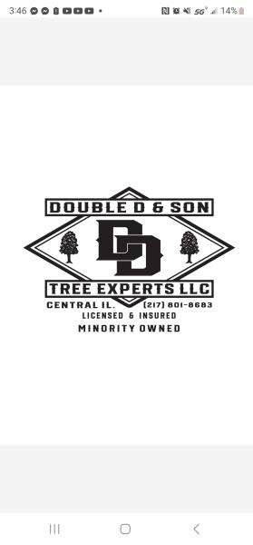 Double D & Son Tree Experts LLC Logo