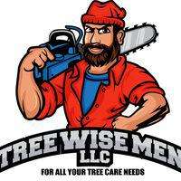 Tree Wise Men Logo