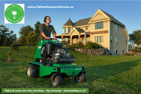 Palmetto Lawn Services SC, LLC Logo
