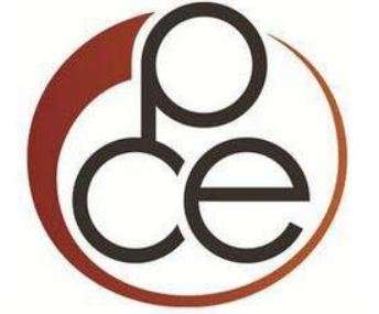 PCE Insurance Agency LLC Logo