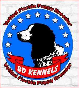 BD Kennels LLC Logo