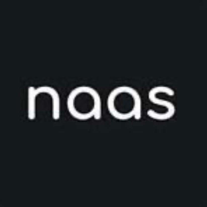 Naas LLC Logo