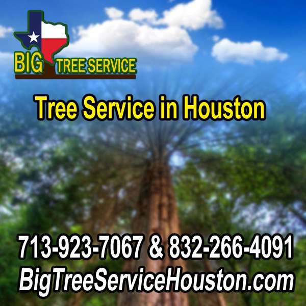 Big Tree Service Logo