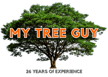 My Tree Guy, LLC Logo