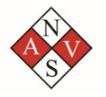 AV Network Engineering, Inc. Logo