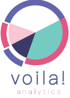 Voila Analytics, LLC Logo