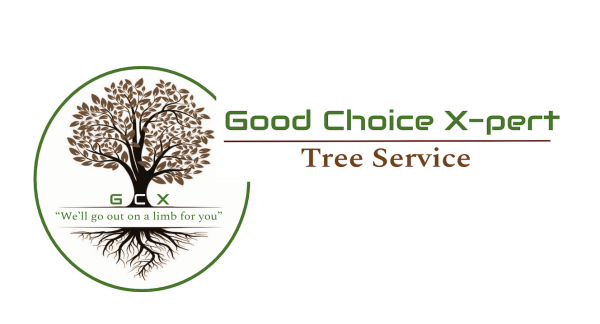 Good Choice X-Pert Tree Service, LLC Logo