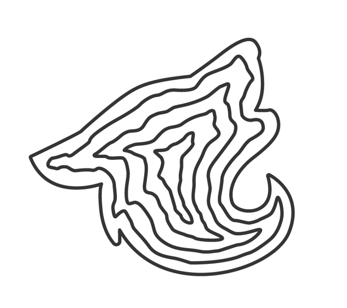 Timber Wolff Designs Inc. Logo