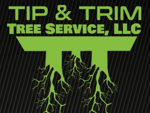 Tip & Trim Tree Service, LLC Logo