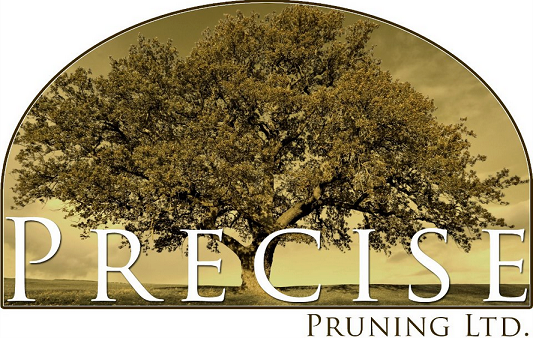 Precise Pruning Ltd. Logo