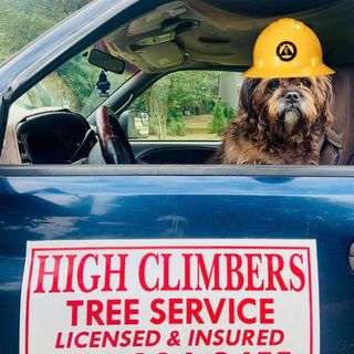 High Climbers Tree Service Logo