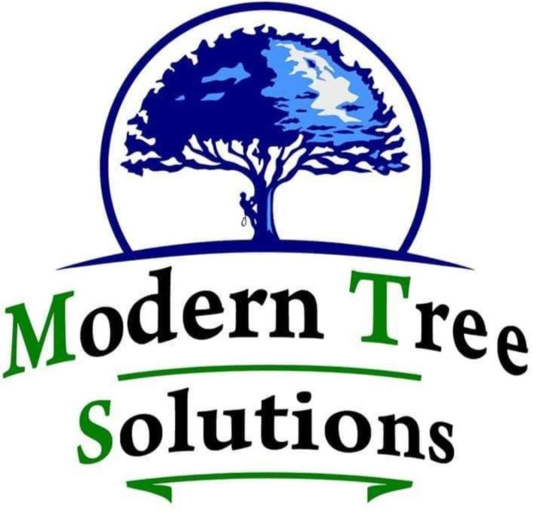 Modern Tree Solutions LLC Logo