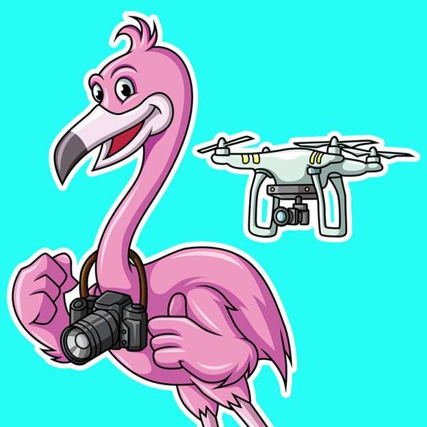 Flamingo Real Estate Photography, LLC Logo