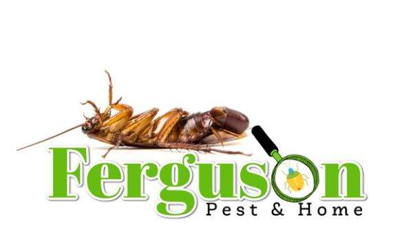 Ferguson Pest and Home, LLC Logo