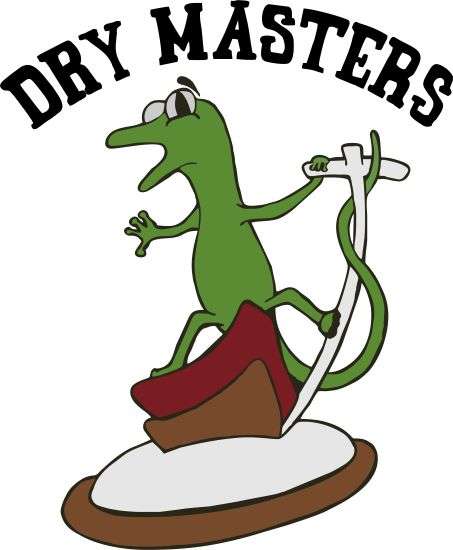 Dry Masters Carpet Systems LLC Logo