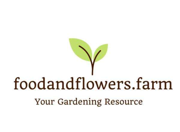 Food and Flowers Logo