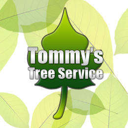 Tommy's Tree Service Inc Logo