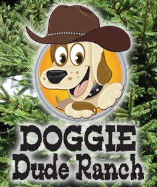 Doggie Dude Ranch of CNY INC Logo