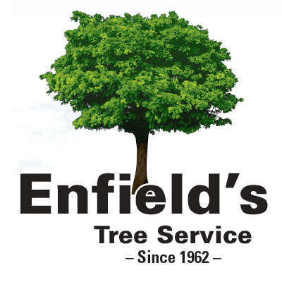 Enfield's Tree Service, Inc. Logo