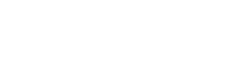 Visible Changes, LLC Logo