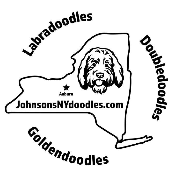 Johnsons NY Doodles LTD. Logo