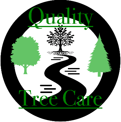 Quality Tree Care Logo