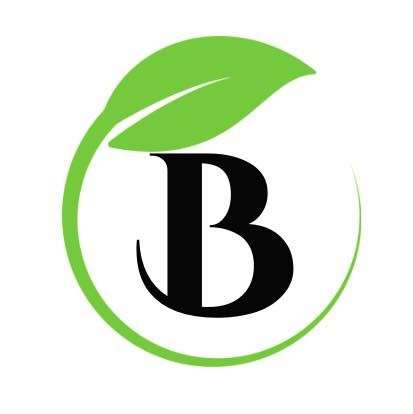 Blaise Property Management Logo