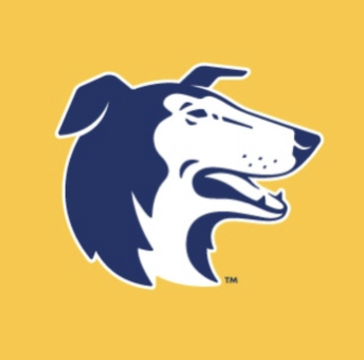 Dog Guard of Fargo LLC Logo