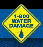 1-800 Water Damage of Southeast Texas Logo